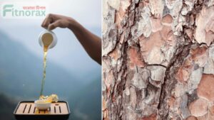 organic arjuna bark texture