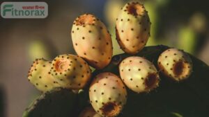প্রিকলি পিয়ার