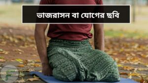 ভাজরাসন বা যোগের ছবি