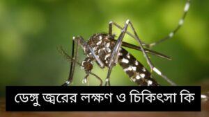 ডেঙ্গু জ্বরের লক্ষণ ও চিকিৎসা